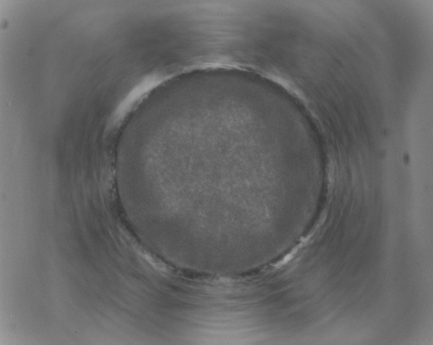 X0000070421359200606231842