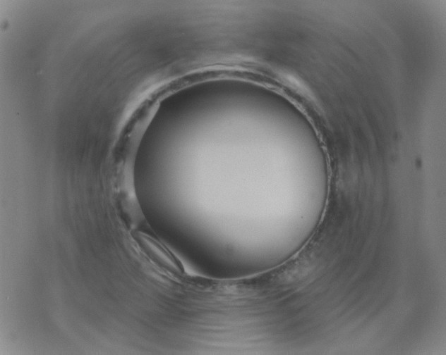 X0000070421360200606231842