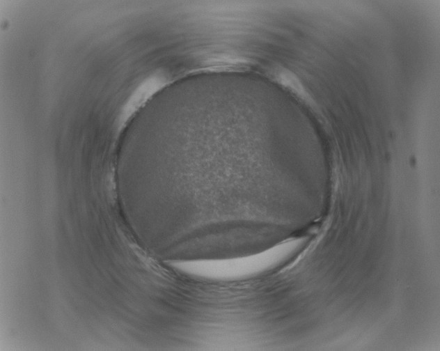 X0000070421362200606231842