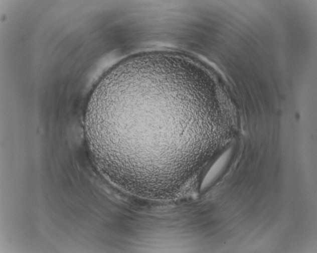 X0000070421363200606231842