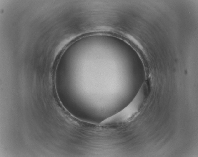 X0000070421364200606231842