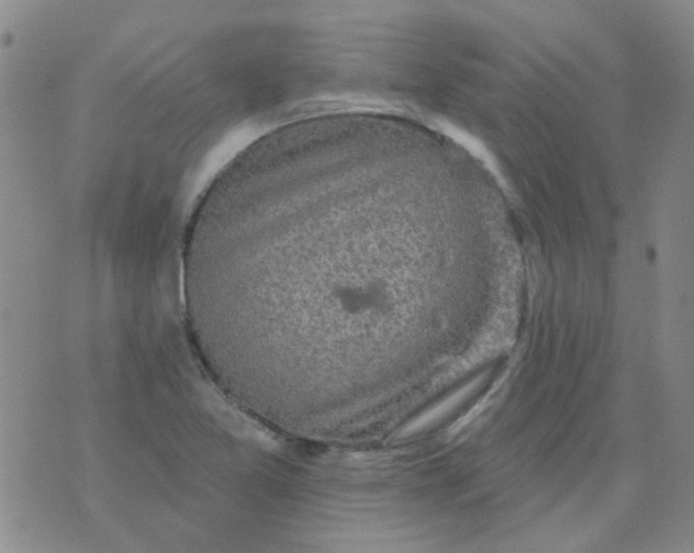 X0000070421365200606231842