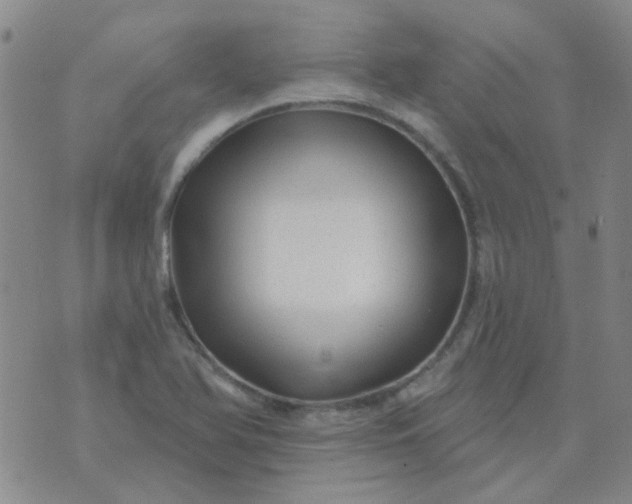 X0000070421366200606231842