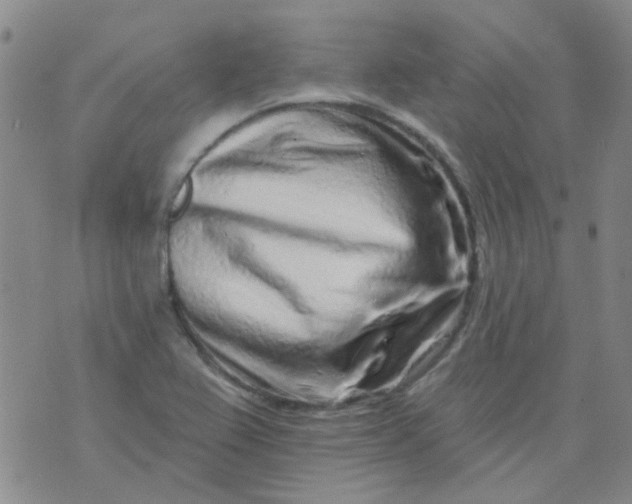 X0000070421367200606231842