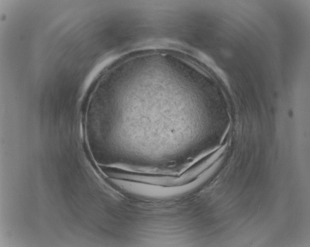 X0000070421368200606231842