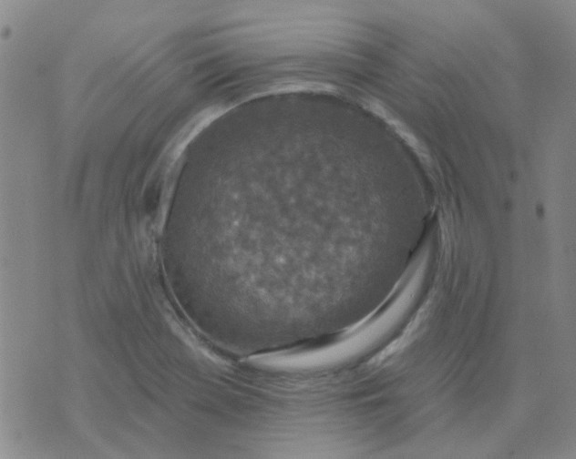 X0000070421369200606231842