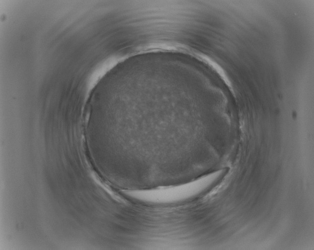 X0000070421373200606231842