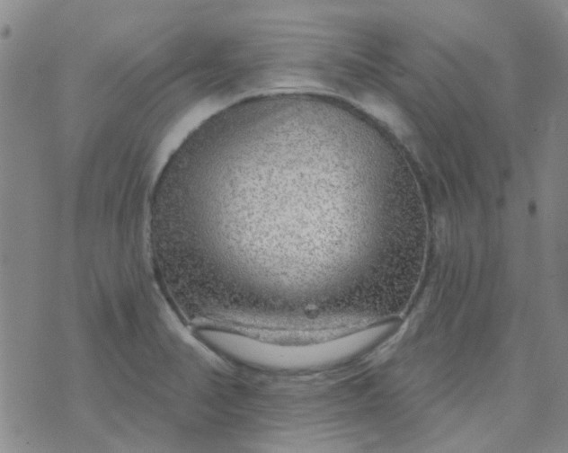 X0000070421374200606231842