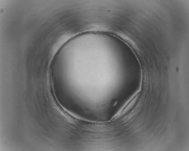 X0000070421375200606231842