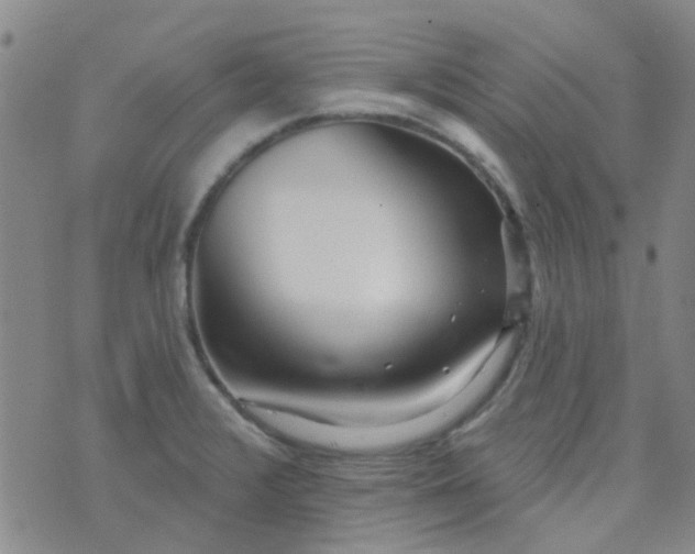 X0000070421376200606231842