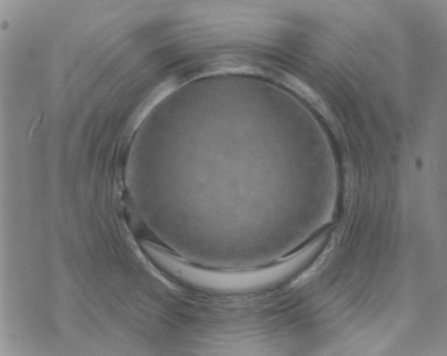 X0000070421377200606231842