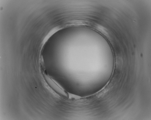 X0000070421378200606231842