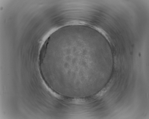 X0000070421379200606231842