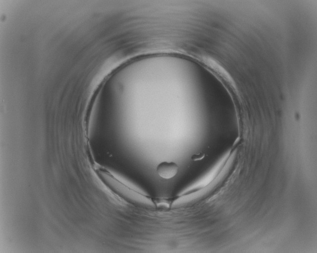 X0000070421380200606231842