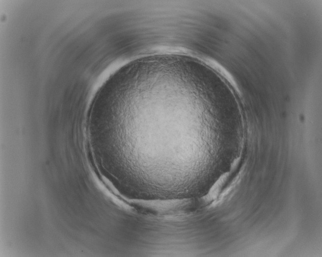 X0000070421381200606231842