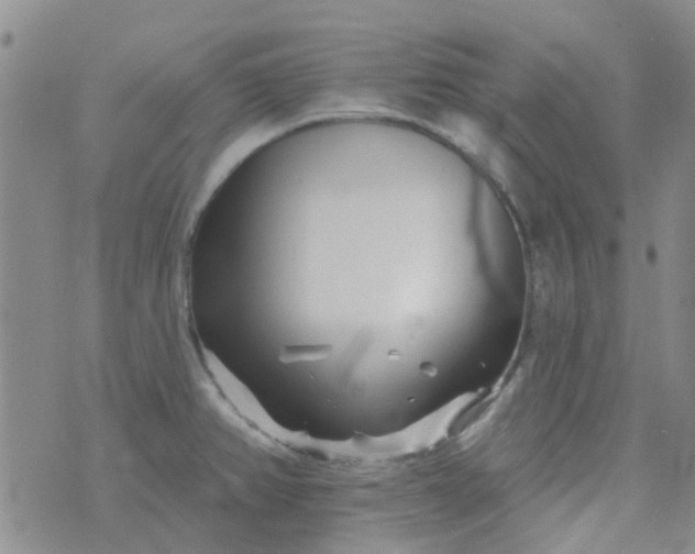 X0000070421382200606231842