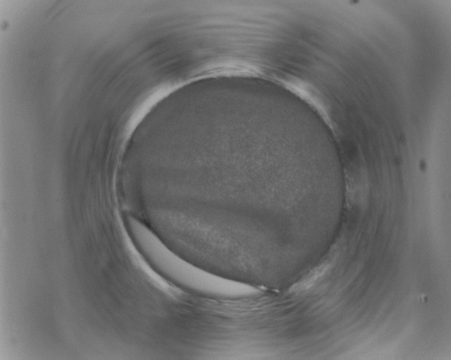 X0000070421383200606231842