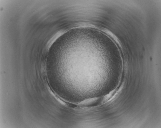 X0000070421385200606231842