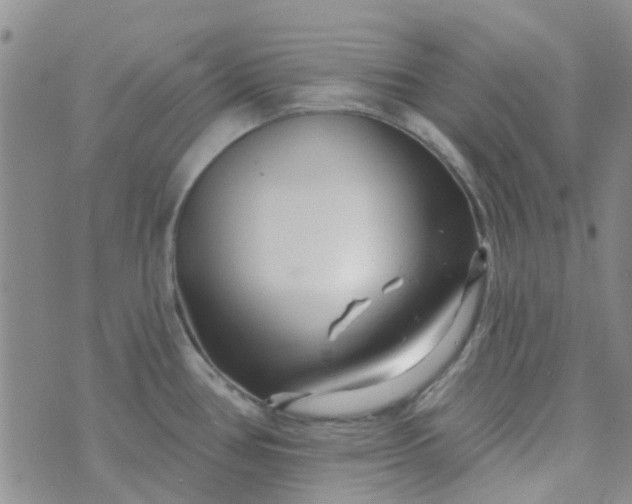 X0000070421386200606231842