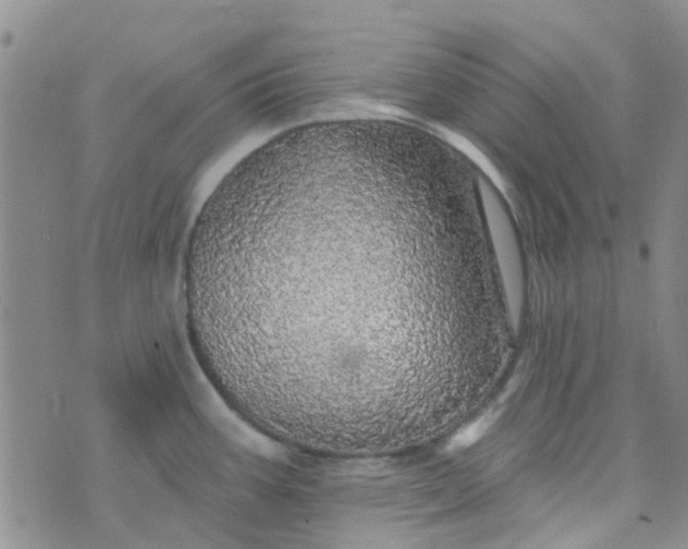 X0000070421387200606231842