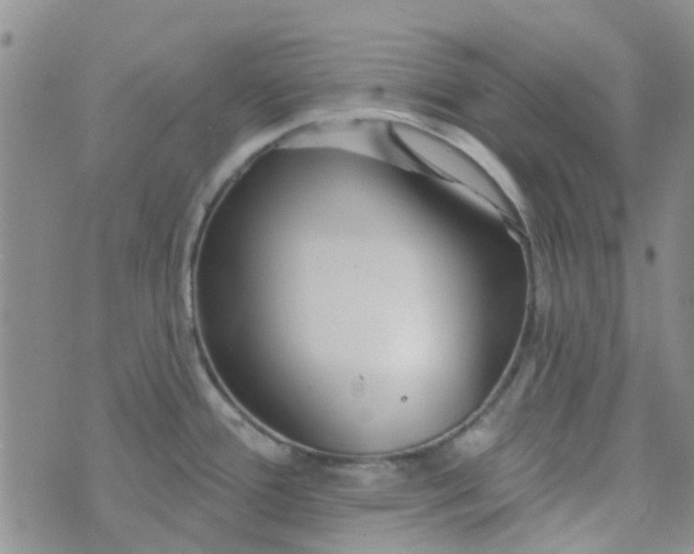 X0000070421388200606231842