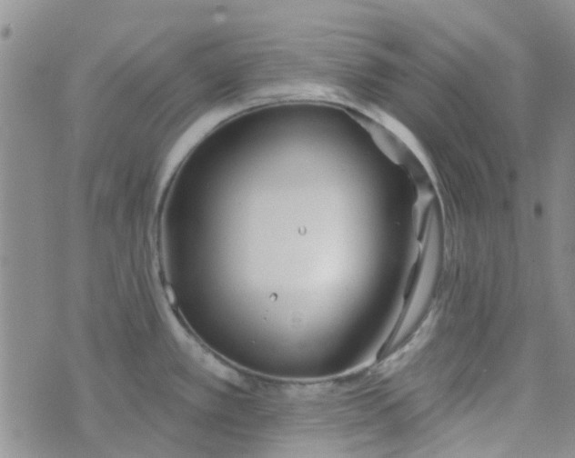 X0000070421389200606231842