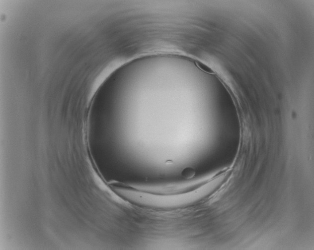 X0000070421390200606231842