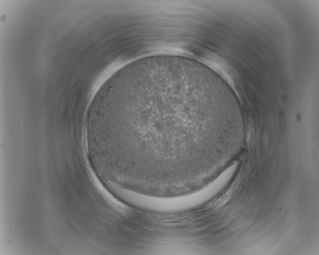 X0000070421391200606231842