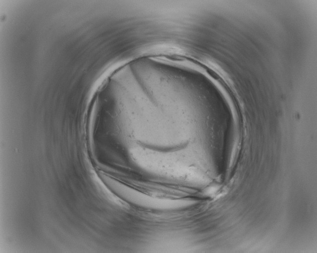 X0000070421392200606231842