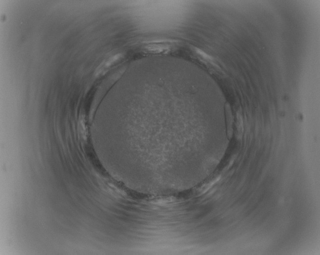 X0000070421394200606231841