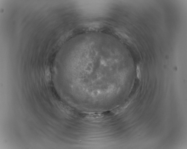 X0000070421395200606231841