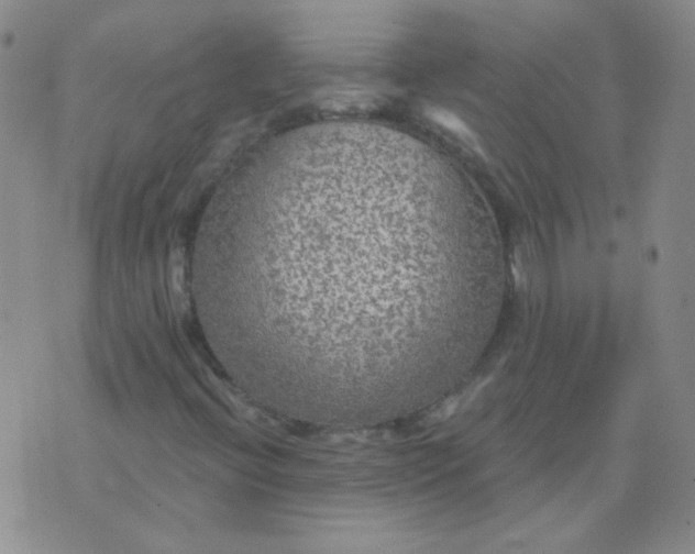 X0000070421396200606231841