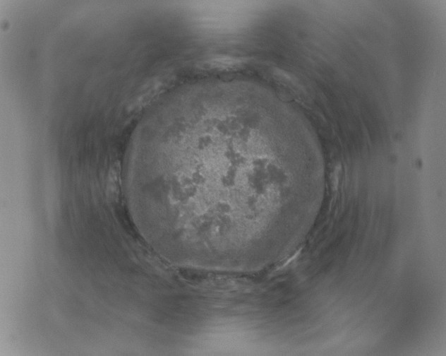 X0000070421397200606231841