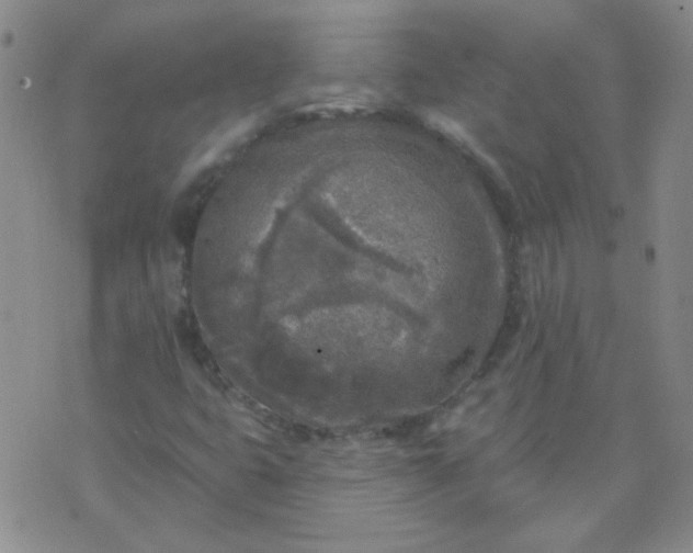 X0000070421399200606231841