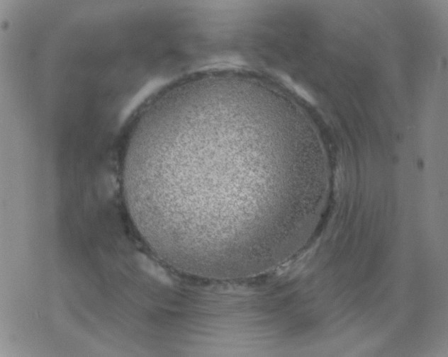 X0000070421400200606231841