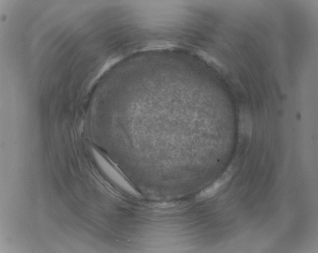 X0000070421401200606231841