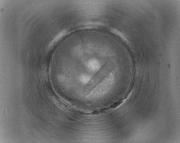 X0000070421403200606231841