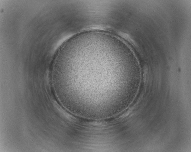 X0000070421404200606231841