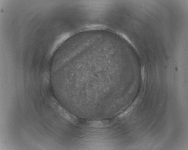 X0000070421405200606231841