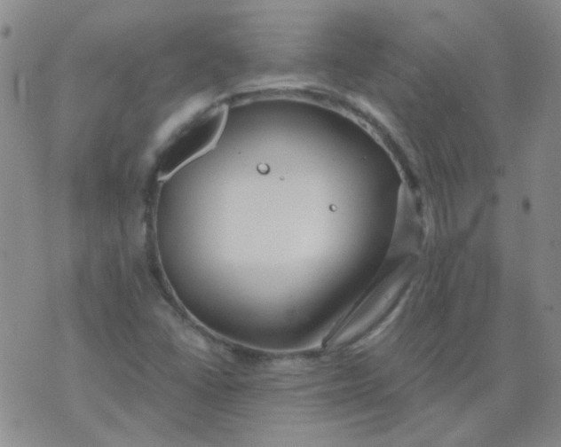 X0000070421406200606231841