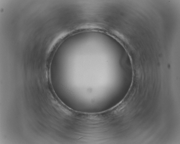 X0000070421408200606231841