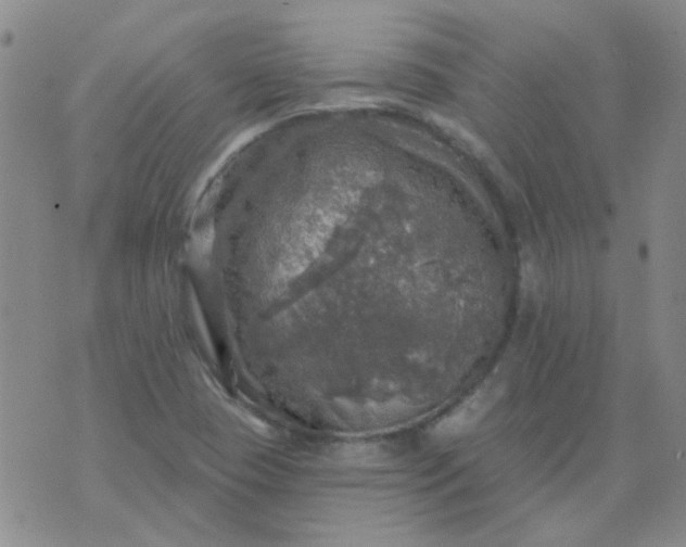 X0000070421409200606231841