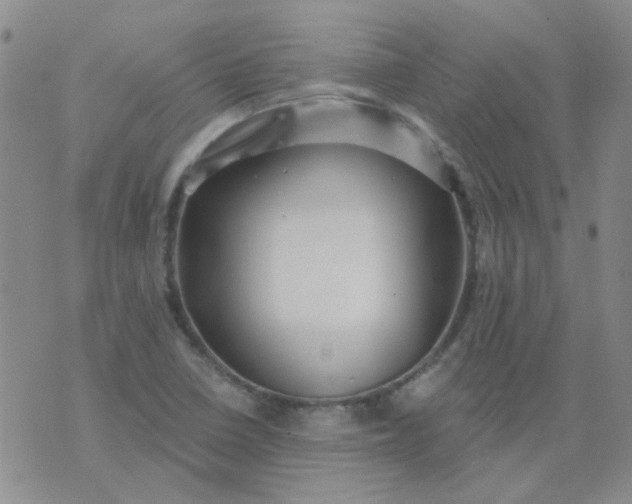 X0000070421410200606231841