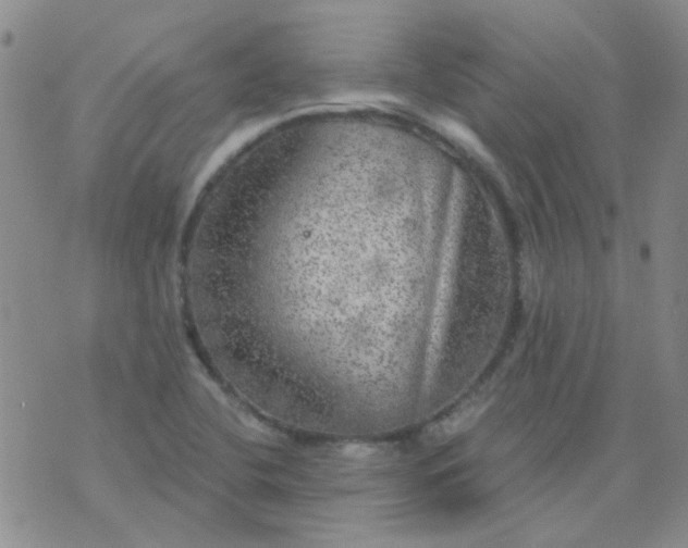 X0000070421412200606231841