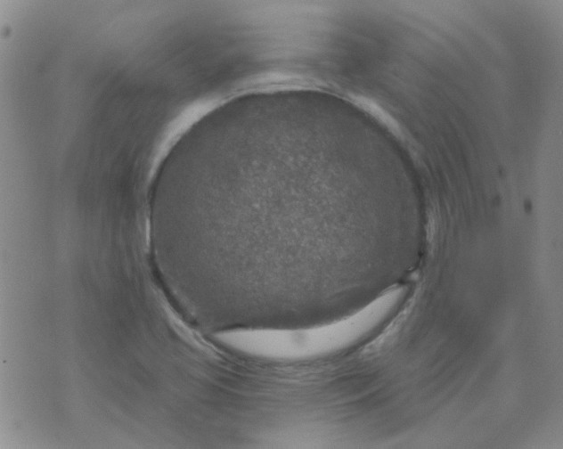 X0000070421413200606231841