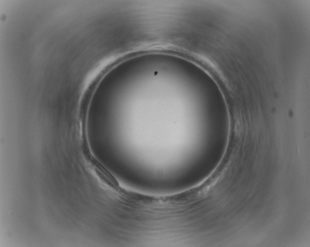 X0000070421414200606231841