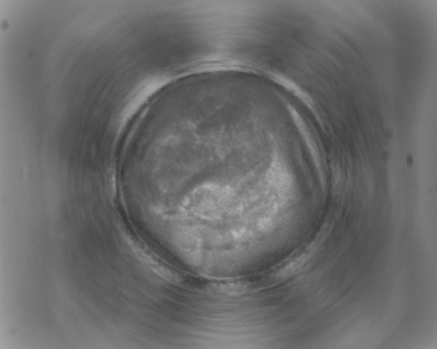 X0000070421415200606231841