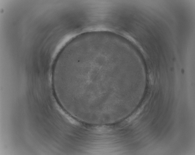 X0000070421416200606231842