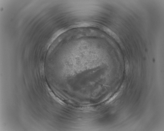 X0000070421417200606231842