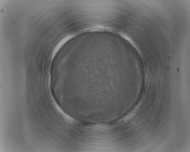 X0000070421418200606231842